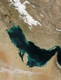 Persian Gulf - January 31, 2003 (MODIS)