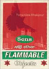 Sons and Other Flammable Objects