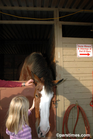 A child cuddling a horse, Equestfest, Burbank (December 30, 2005) - by QH