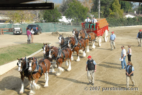 Budwiser Clydesdales  (December 29, 2007) - by QH