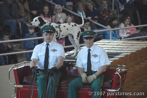 Budwiser Clydesdales   (December 29, 2007) - by QH