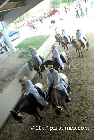 Peruvian Paso Heritage Riders  (December 29, 2007) - by QH