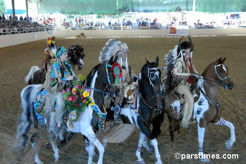 Scripps Miramar Saddlebreds  - Equestfest, Burbank  (December 29, 2006) - by QH
