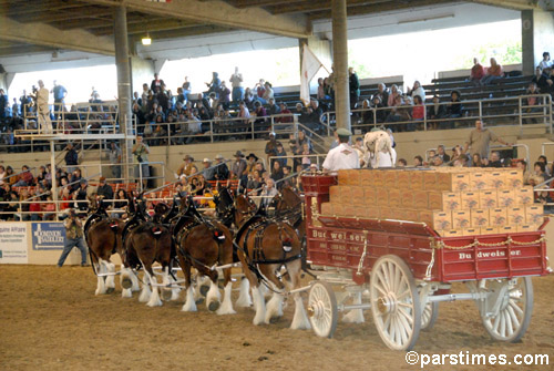 Budweiser Clydedales - Equestfest, Burbank  (December 29, 2006) - by QH
