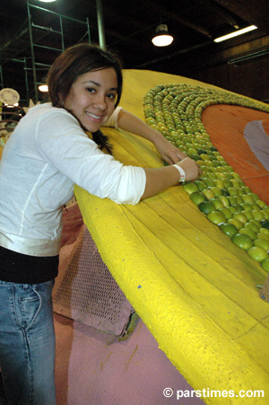 Rose Parade Float Decorations - by QH