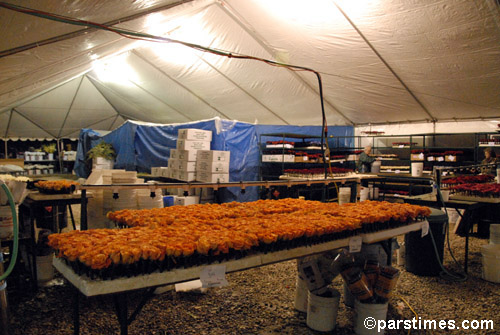 Float Decorations, Rose Palace - Pasadena (December 30, 2006) - by QH