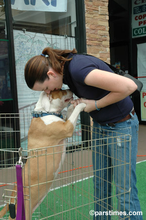Girl petting a dog, Studio City - by QH