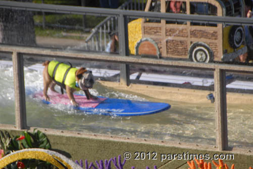 Dick Van Patten's Natural Balance Pet Foods, Inc. - Dog Surfing - Pasadena (January 2, 2012) - by QH