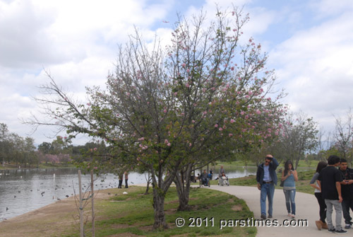 Sizdah Bedar, Balboa Park, Van Nuys - (April 3, 2011) - by QH