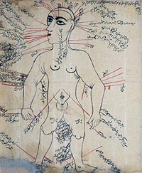 Persian anatomical illustrations - courtesy of the national library of medicine