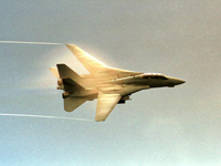 An F-14D Tomcat of Fighter flying over the Persian Gulf - US Navy
