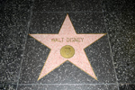 Walt Disney Star, Hollywood - by QH