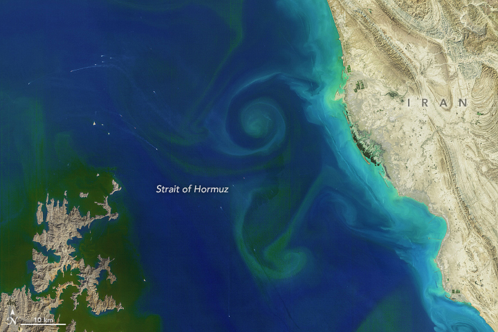 A Bloom in the Strait of Hormuz - NASA (October 16, 2019)