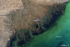 Volga Delta and the Caspian Sea - NASA (January 24, 2002)