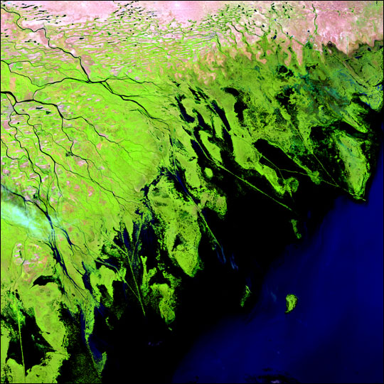 Volga River Delta - Landsat