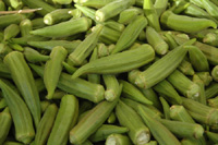 Okra: lady's fingers is a common ingredient in Persian& Middle Eastern cuisine
